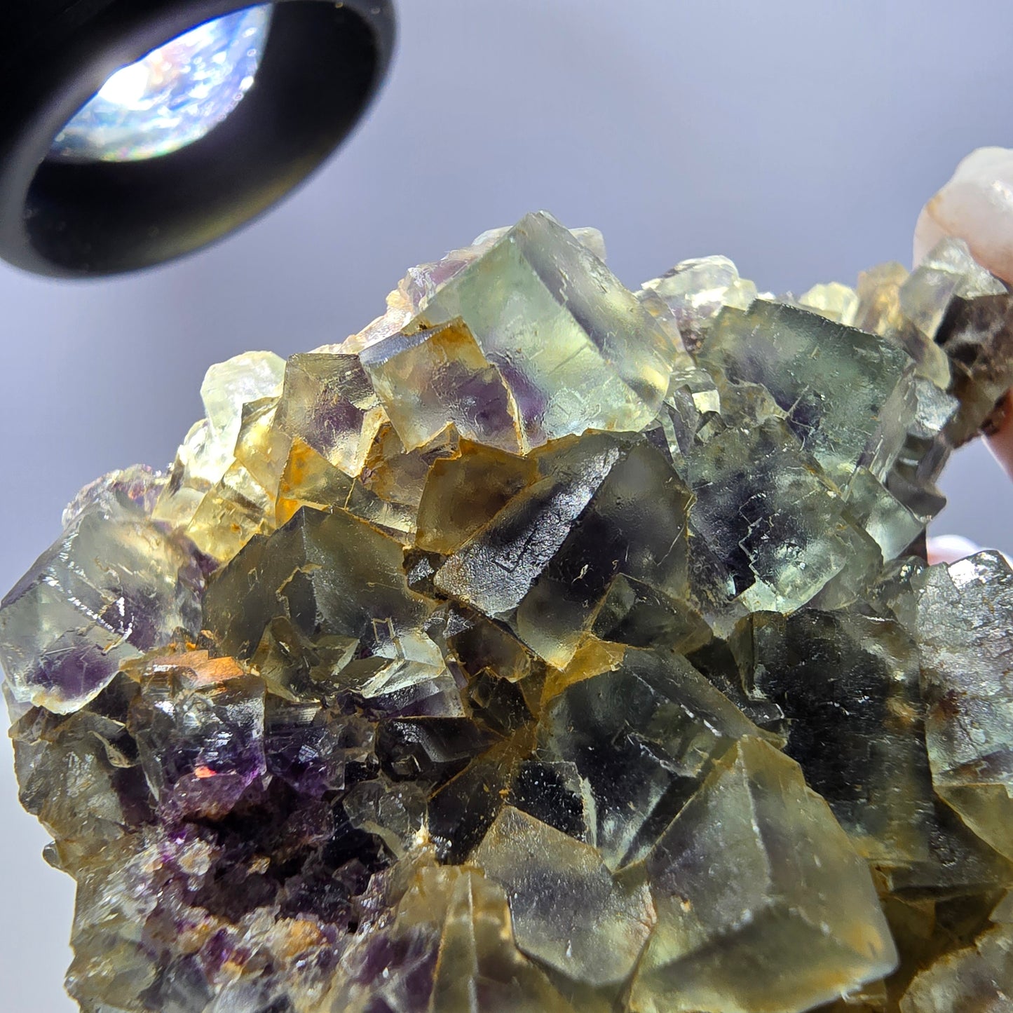 Spécimen de cube de fluorite fantôme transparente, vert-violet, Okorusu, Namibie, 54 x 41 x 22 mm