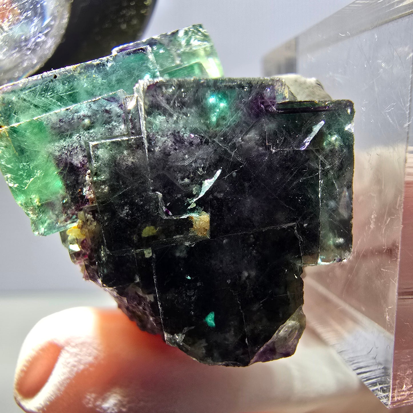 Spécimen de cube de fluorite fantôme, parqueté vert violet Okorusu, Namibie 28*27*22 mm