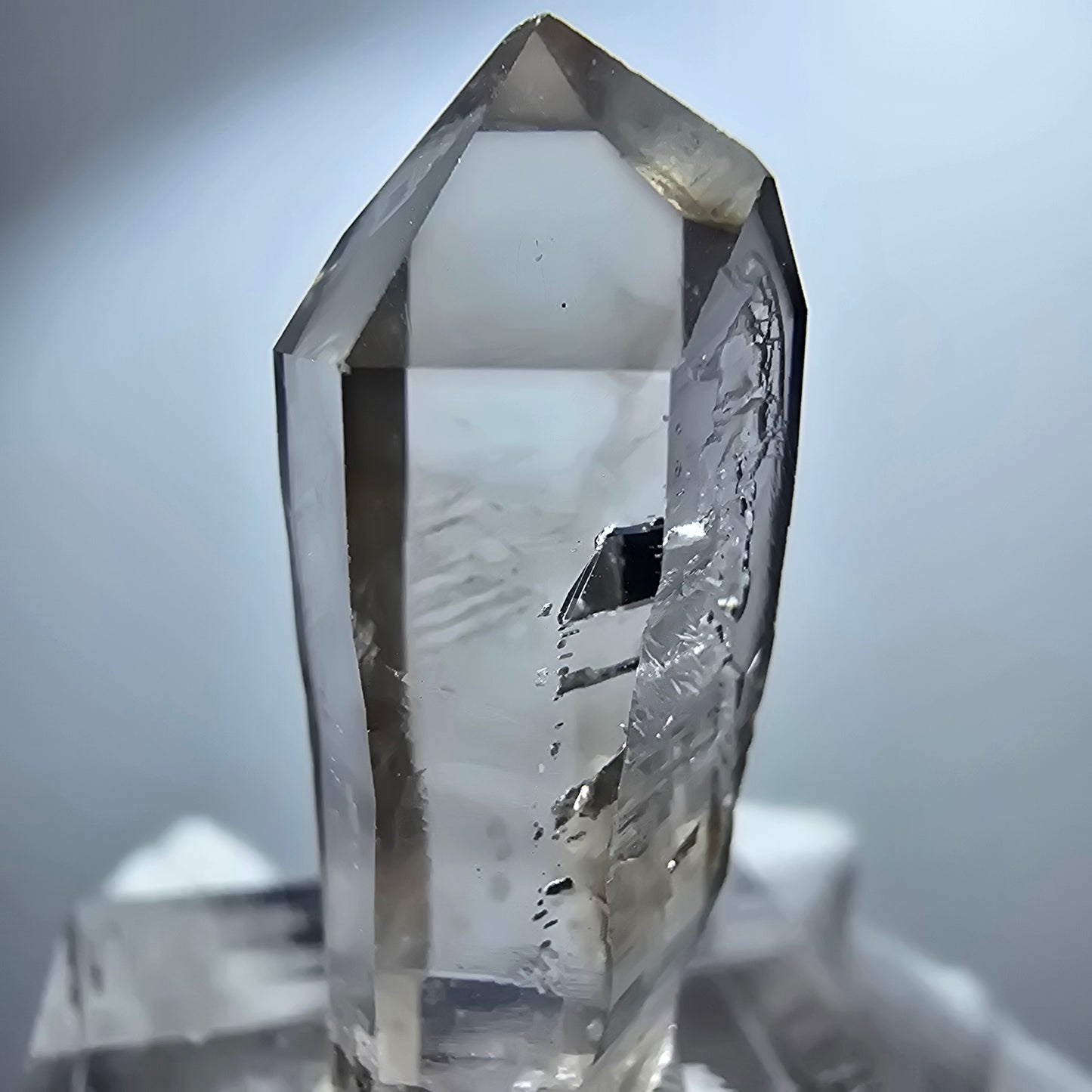 Pointe de sceptre en quartz fumé fantôme transparent, Goboboseb, Namibie, 33 x 11 x 13 mm
