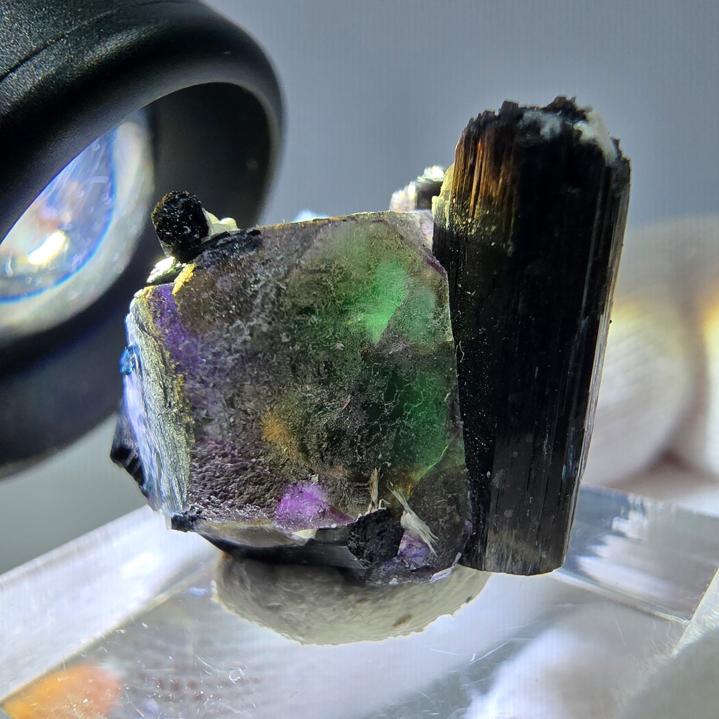 Spécimen de cube de fluorite fantôme zonal, de muscovite et de tourmaline Schorl, Erongo, Namibie, 25 x 20 x 18 mm
