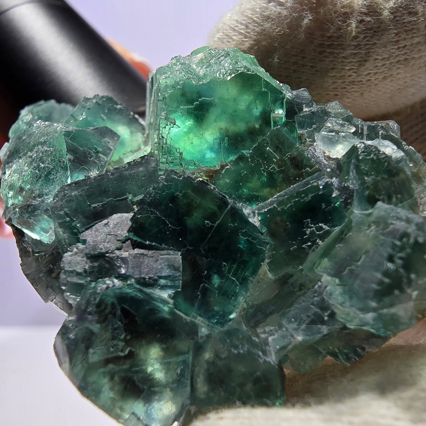 Rare spécimen de cube de fluorite fantôme, parqueté vert Okorusu, Namibie, 62 x 39 x 19 mm