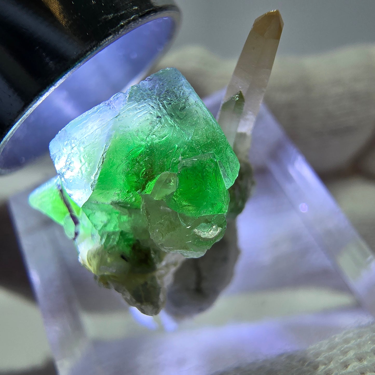Cube de fluorite fantôme zonal, quartz fumé, spécimen de muscovite, Erongo, Namibie, 19 x 15 x 12 mm