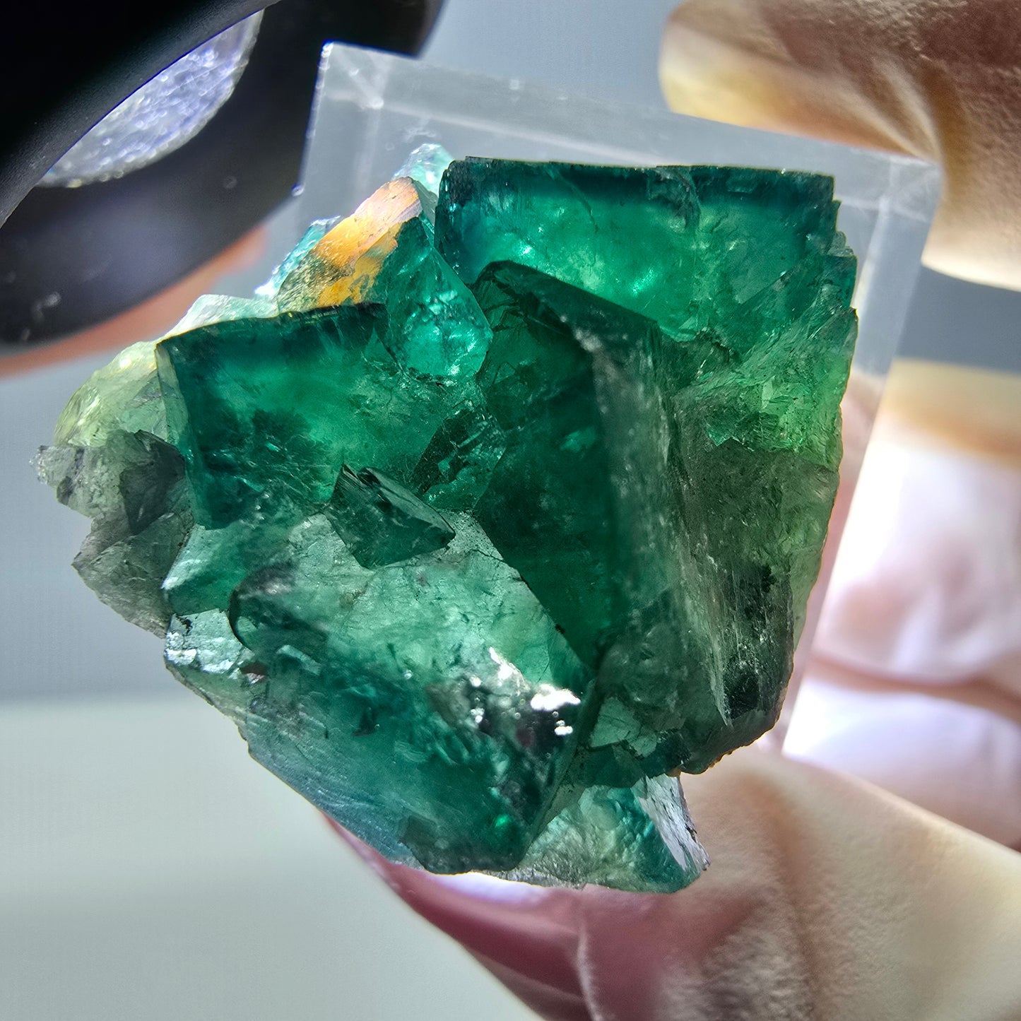 Phantom Fluorit Würfel Stufe, grün parkettiert Okorusu, Namibia 27*27*17mm
