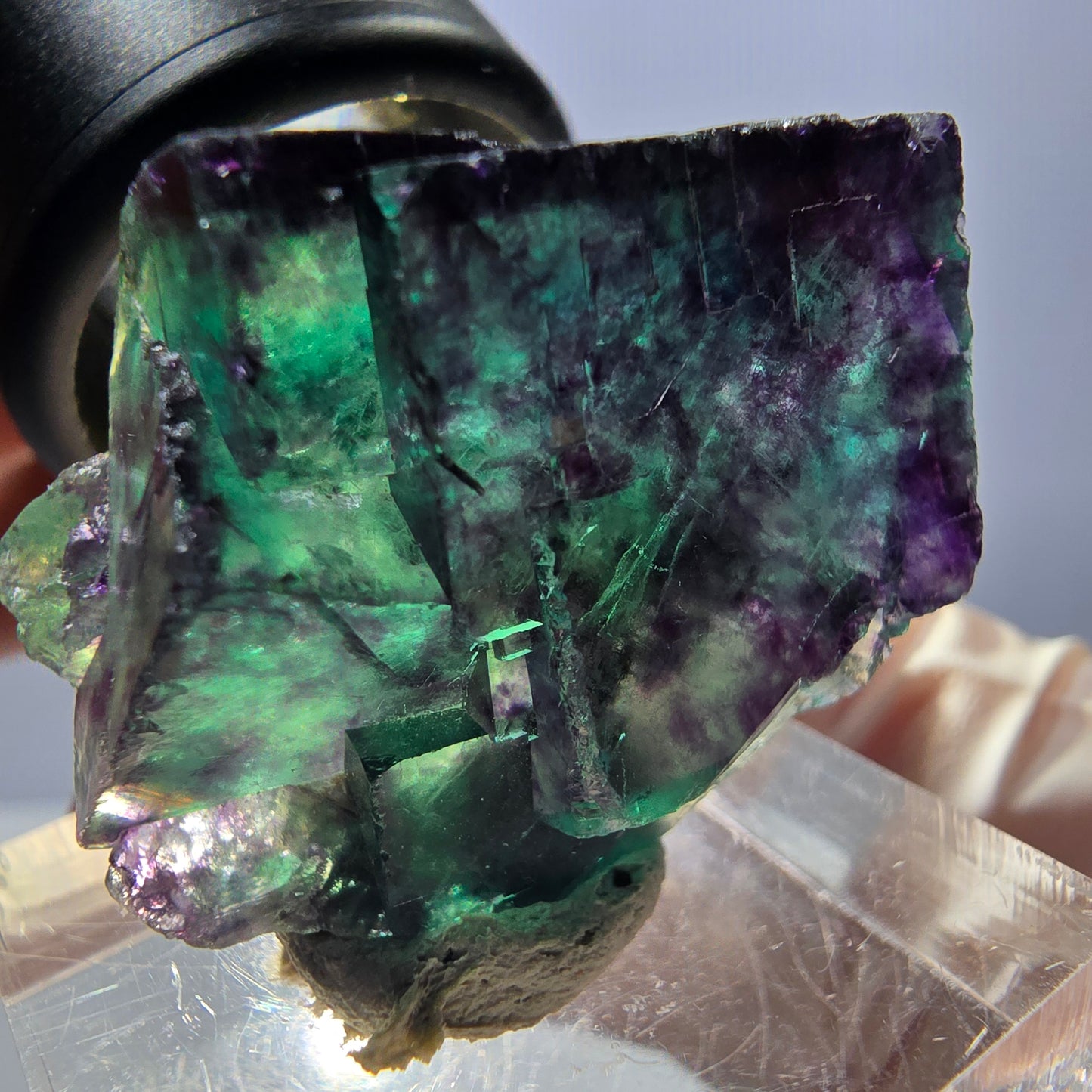 Spécimen de cube de fluorite fantôme, parqueté vert violet Okorusu, Namibie 28*24*22 mm