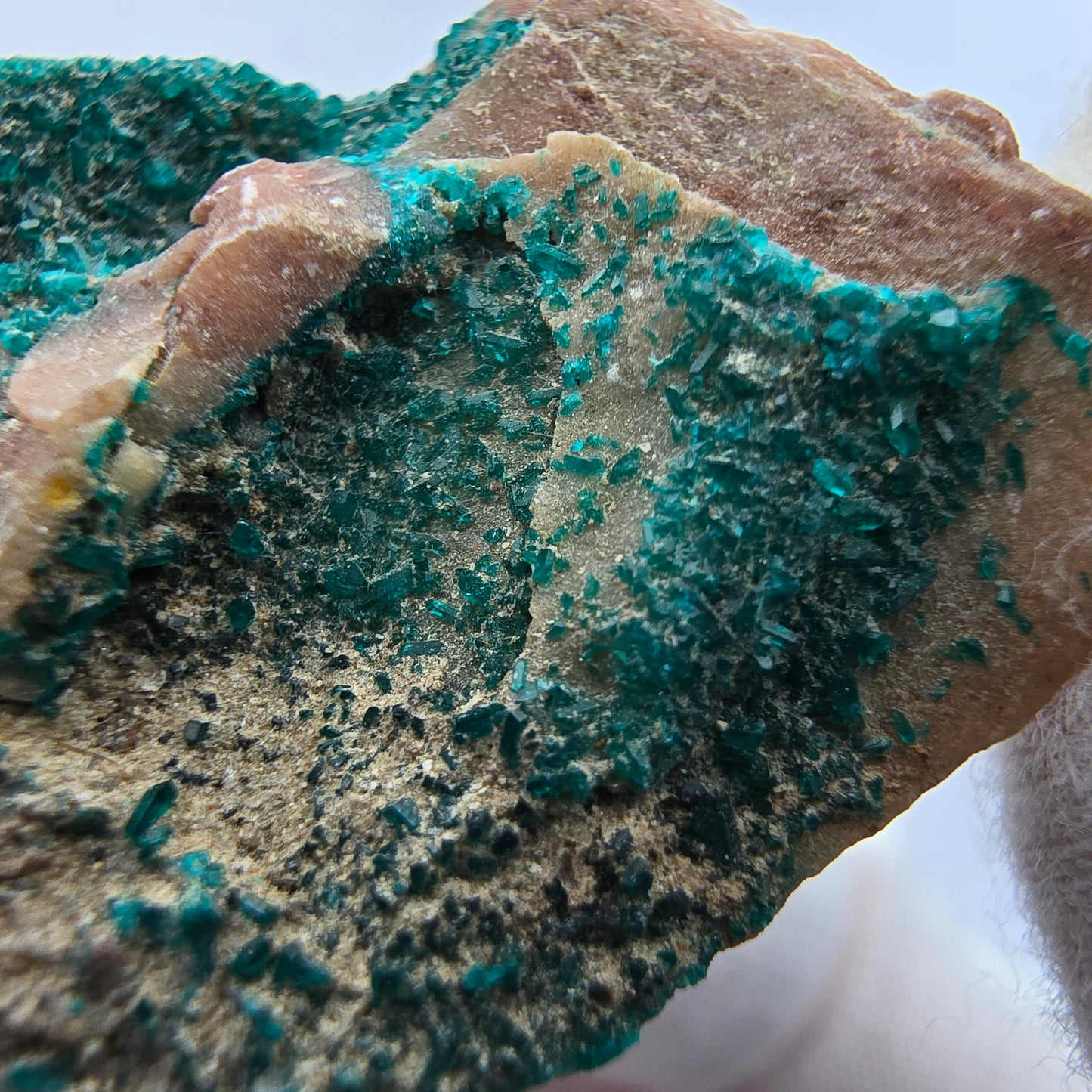 Seltene Dioptas auf Quarz Stufe Kaokoveld, Namibia 37*29*18mm Mineraliensammlung