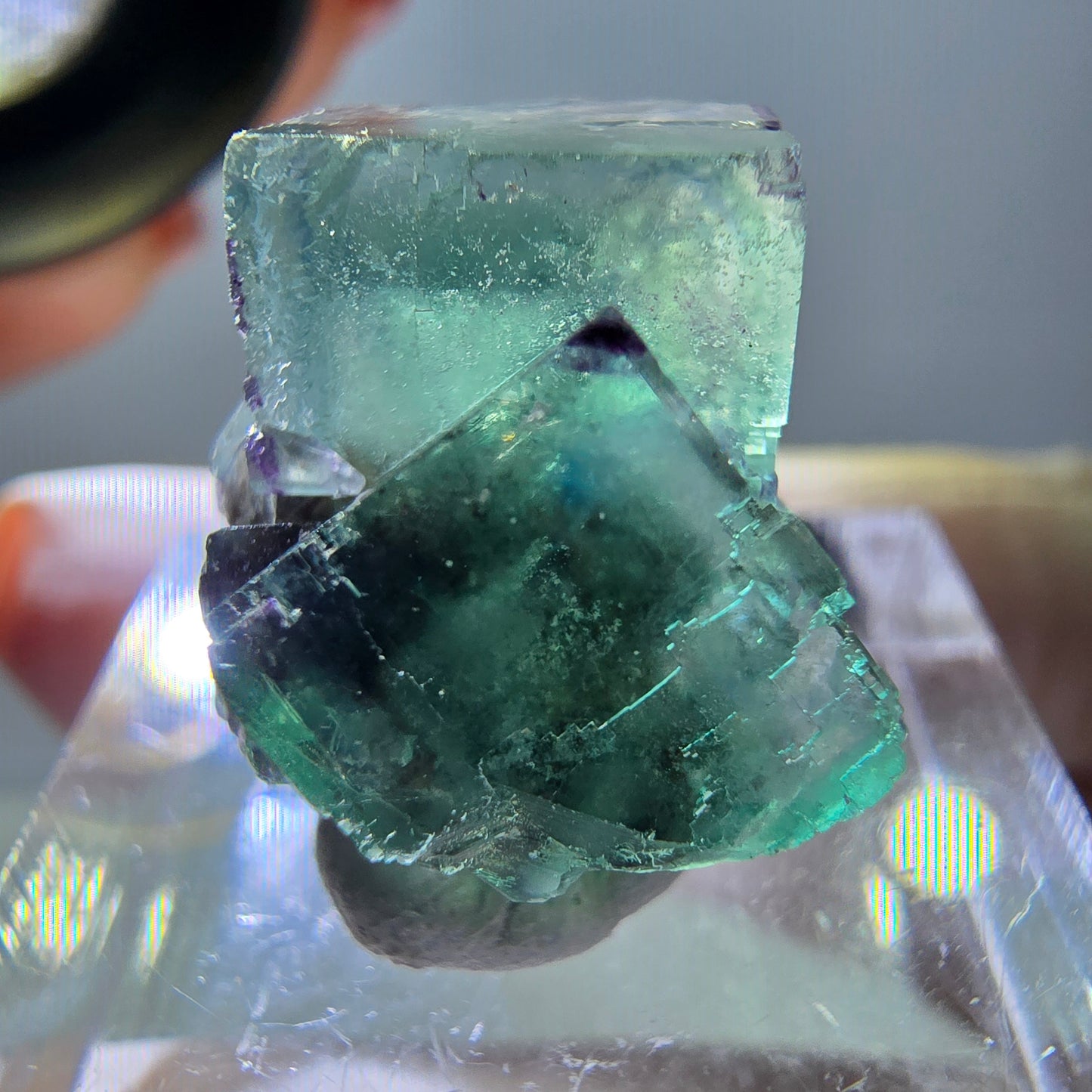 Phantom Fluorit Würfel Stufe, parkettiert, zonal Okorusu, Namibia 21*17*16mm