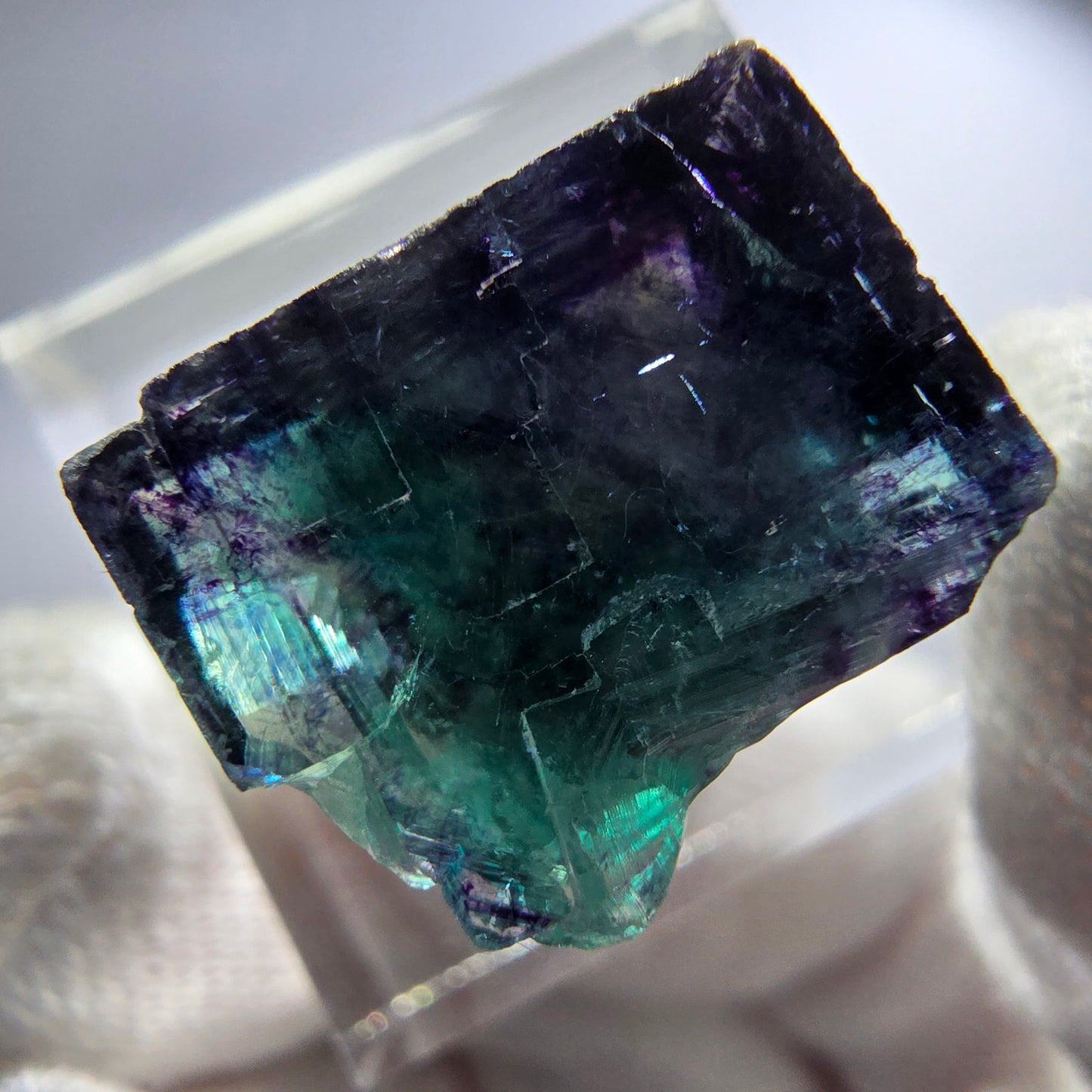 Spécimen rare de cube de fluorite fantôme, vert zonal et violet, Okorusu, Namibie, 23 x 18 x 14 mm