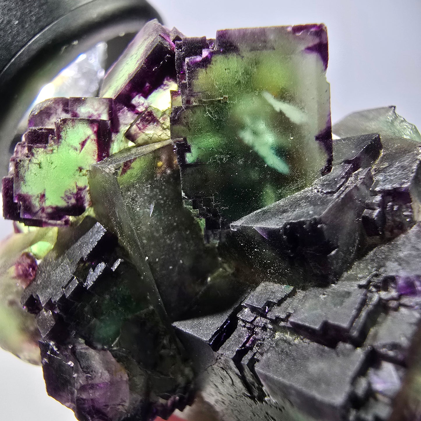 Spécimen de cube de fluorite fantôme, parqueté, zonal Okorusu, Namibie 54 x 39 x 38 mm