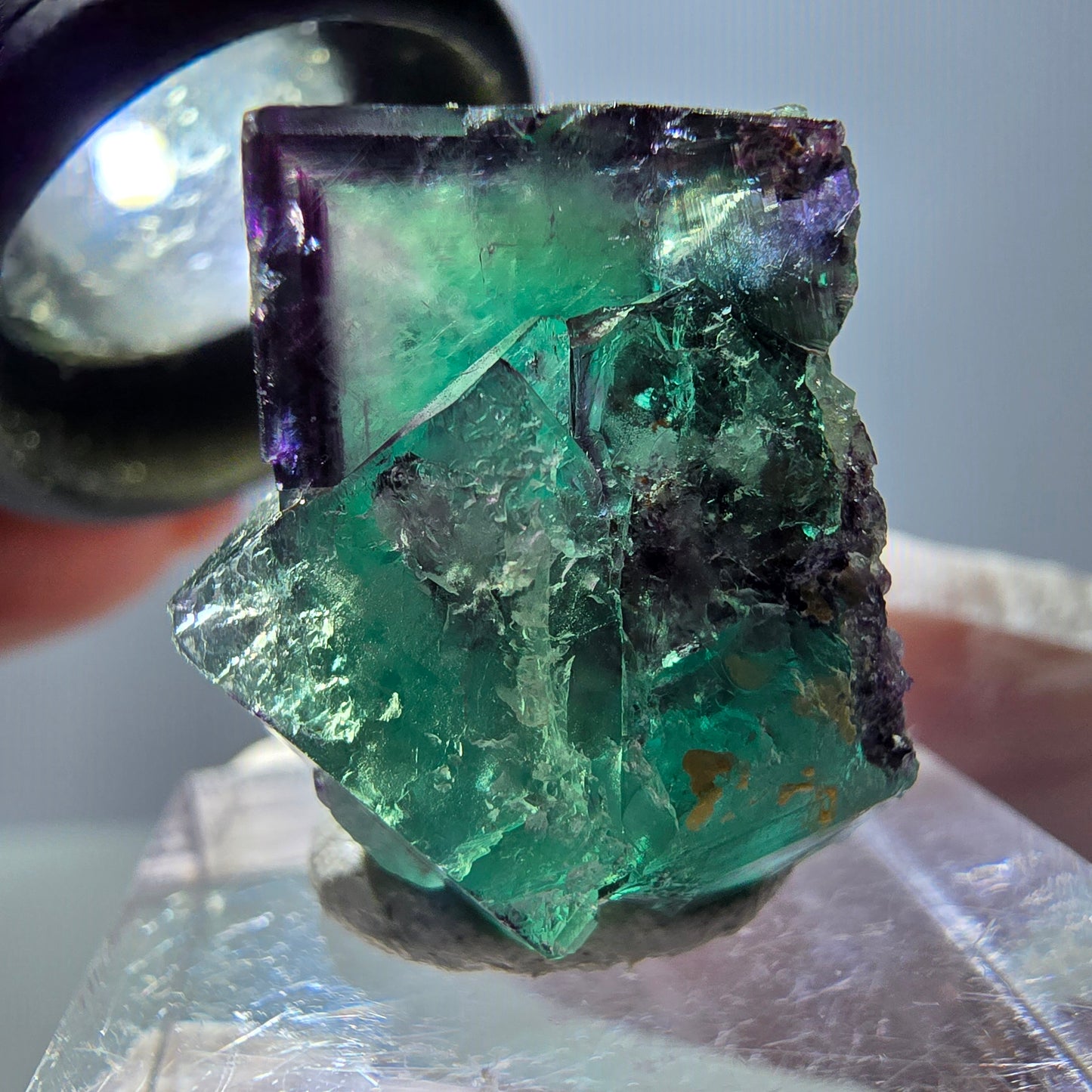 Spécimen de cube de fluorite fantôme, parqueté vert violet Okorusu, Namibie 22*22*18 mm