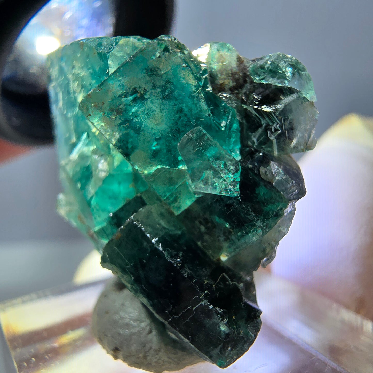 Spécimen de cube de fluorite fantôme, parquet vert Okorusu, Namibie 27 x 25 x 17 mm