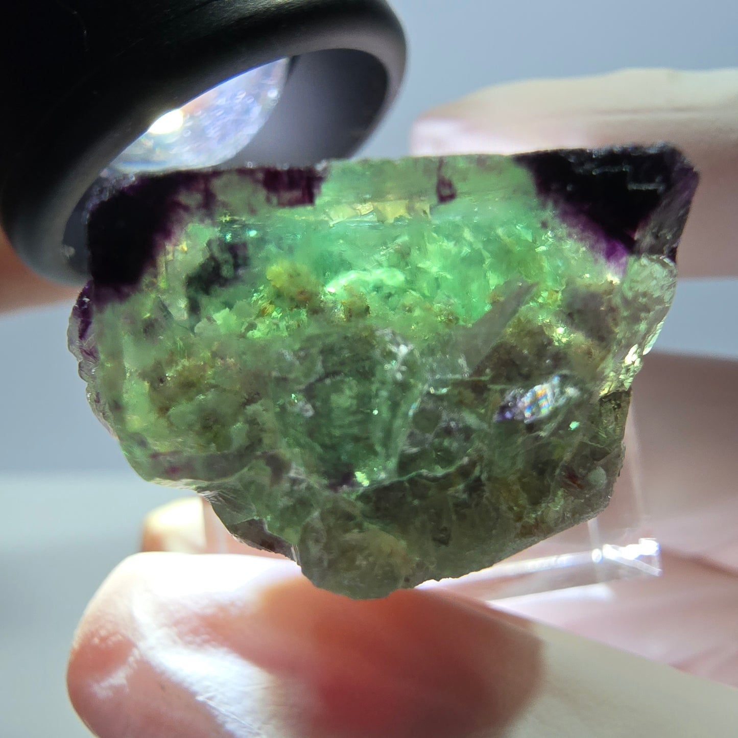 Phantom Fluorit Würfel Stufe, parkettiert, zonal Okorusu, Namibia 27*24*14mm