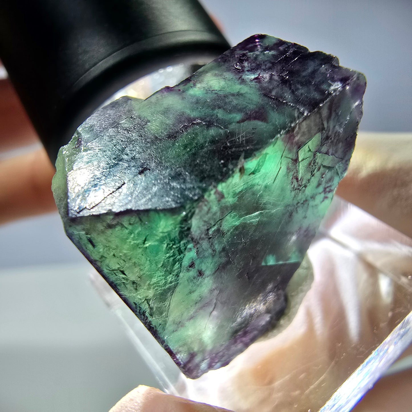 Rare cube de fluorite fantôme parqueté vert violet Okorusu Namibie 23*21*13mm