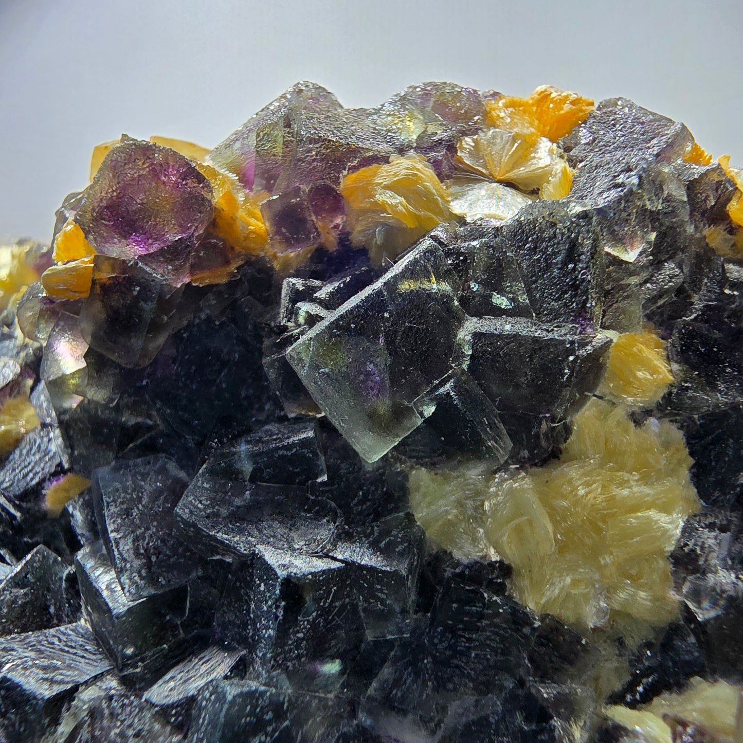 Cubes de fluorite fantôme colorés, spécimen de muscovite, Erongo, Namibie, 71 x 56 x 35 mm