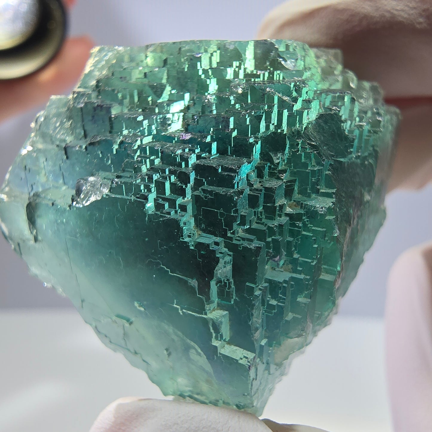 Spécimen de cube de fluorite fantôme transparente, vert parqueté, Okorusu, Namibie, 47 x 40 x 22 mm