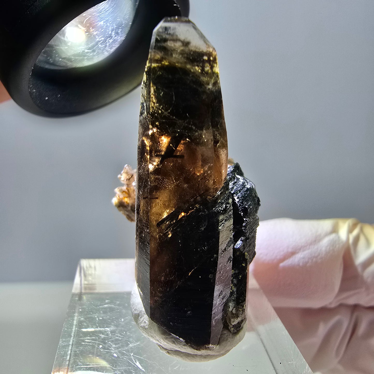 Rare spécimen de tourmaline Schorl et de quartz fumé, Erongo, Namibie, 36 x 27 x 22 mm