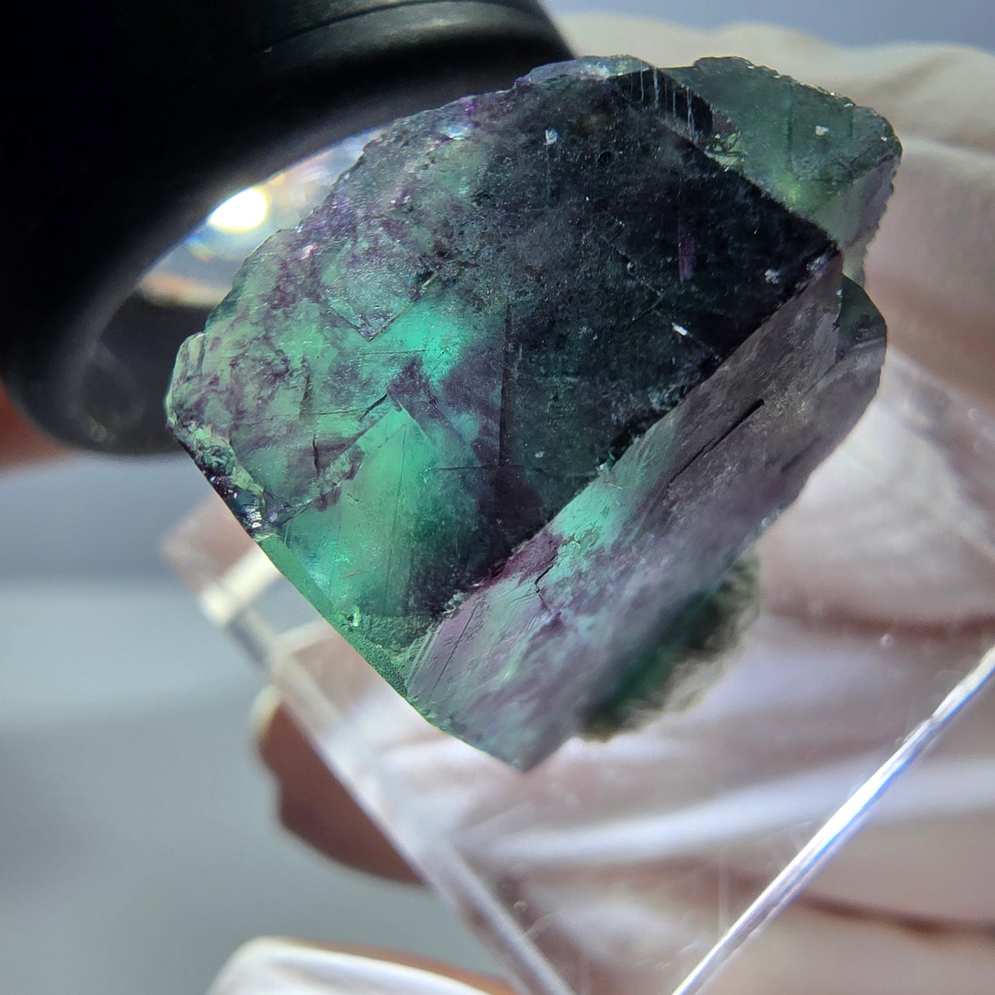 Phantom Fluorit Würfel Stufe, parkettiert grün lila Okorusu, Namibia 21*18*15mm