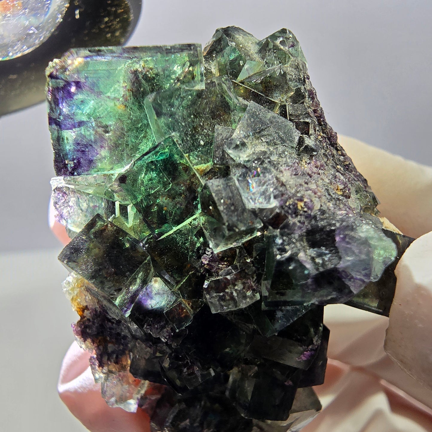 Spécimen de cube de fluorite fantôme parqueté vert violet Okorusu, Namibie 50*34*31mm