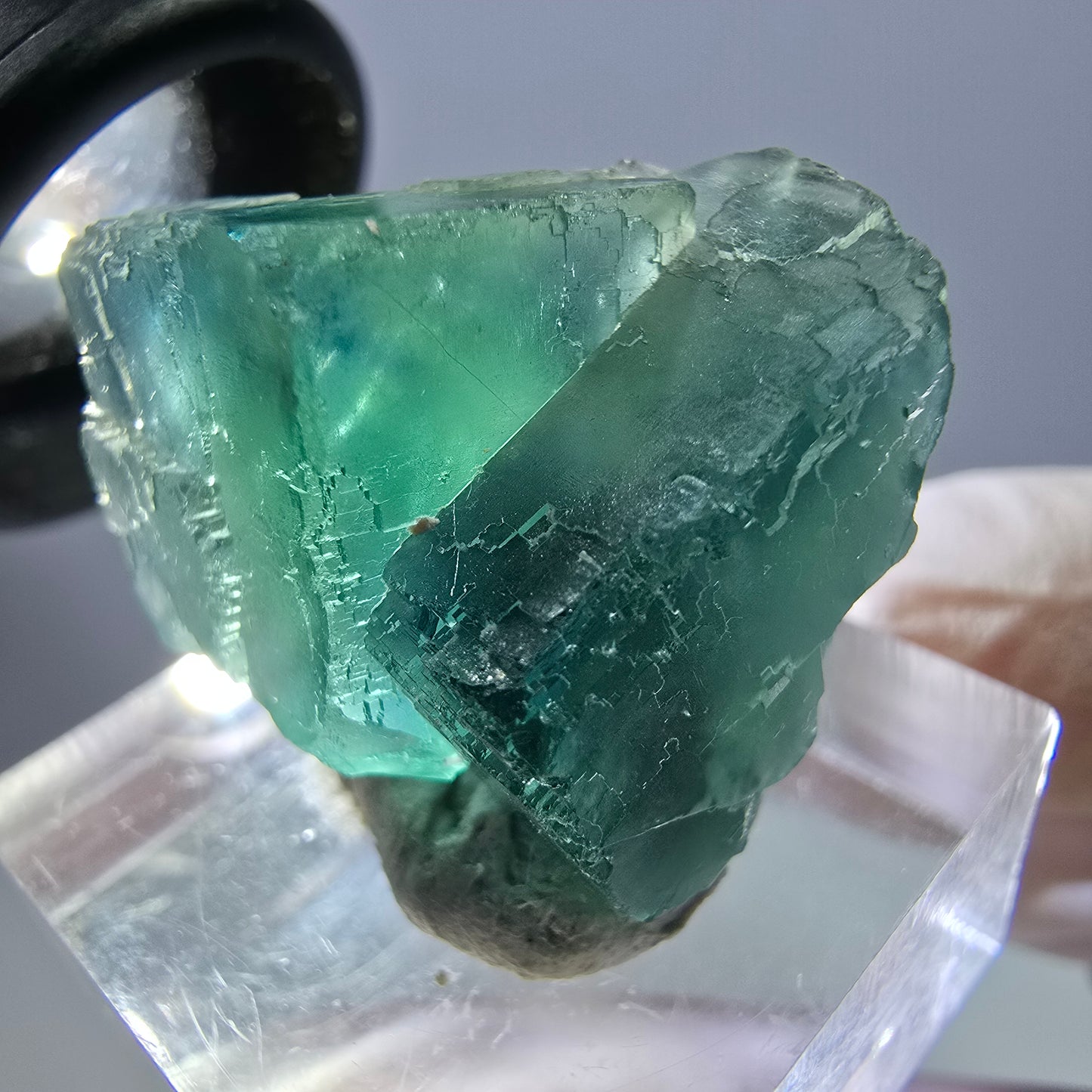 Phantom Fluorit Würfel Stufe, grün parkettiert Okorusu, Namibia 28*23*16mm