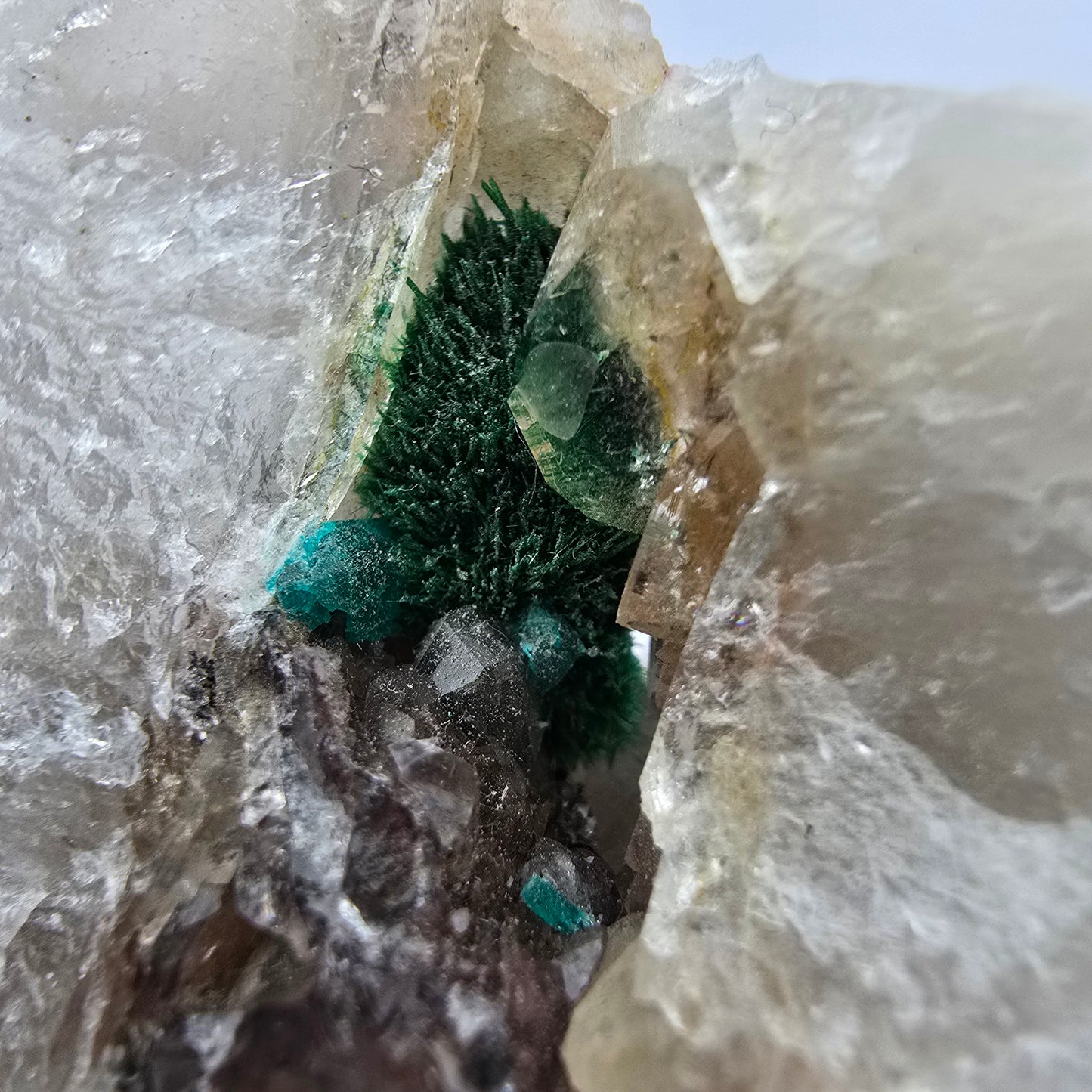 Seltene Malachit, Dioptas auf Quarz Stufe Kaokoveld, Namibia 70*50*23mm Sammlung
