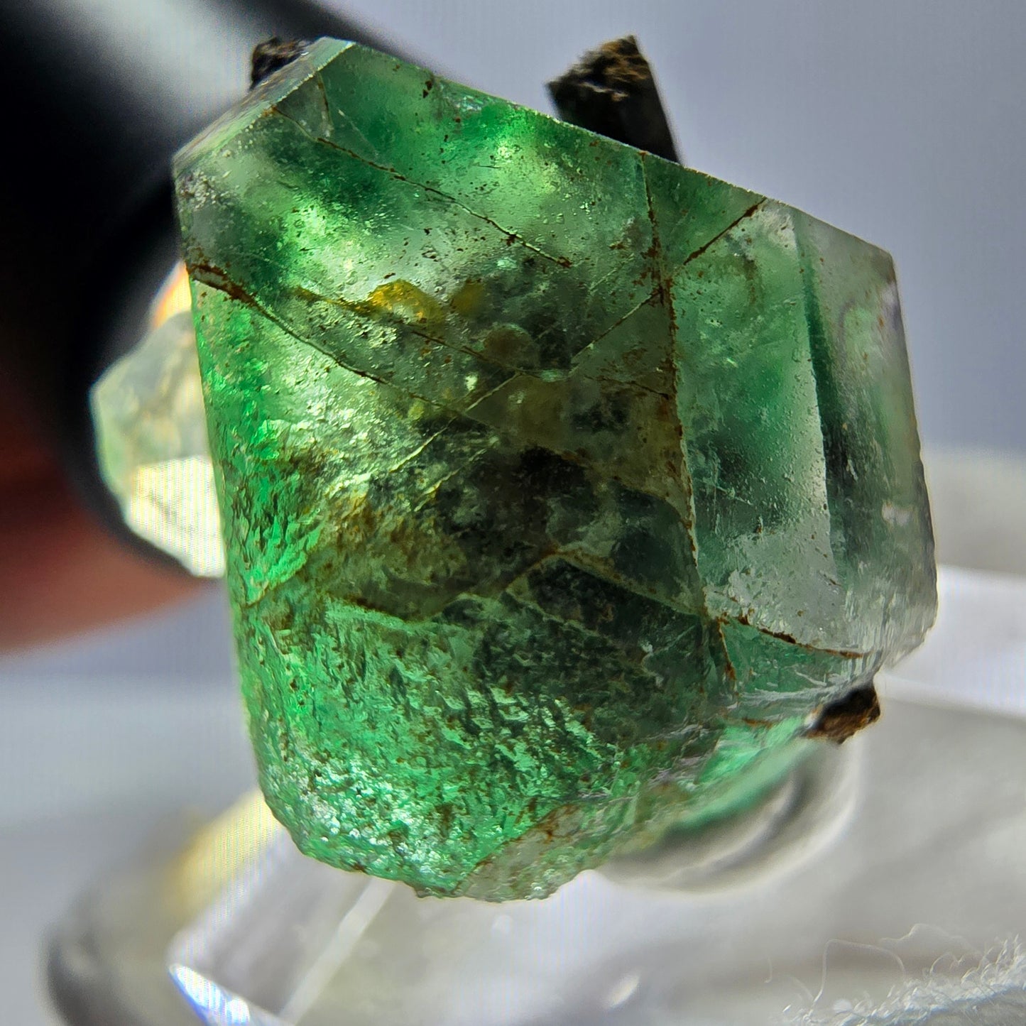 Spécimen de tourmaline Schorl hexagonale en fluorite fantôme, Erongo, Namibie, 23 x 22 x 22 mm