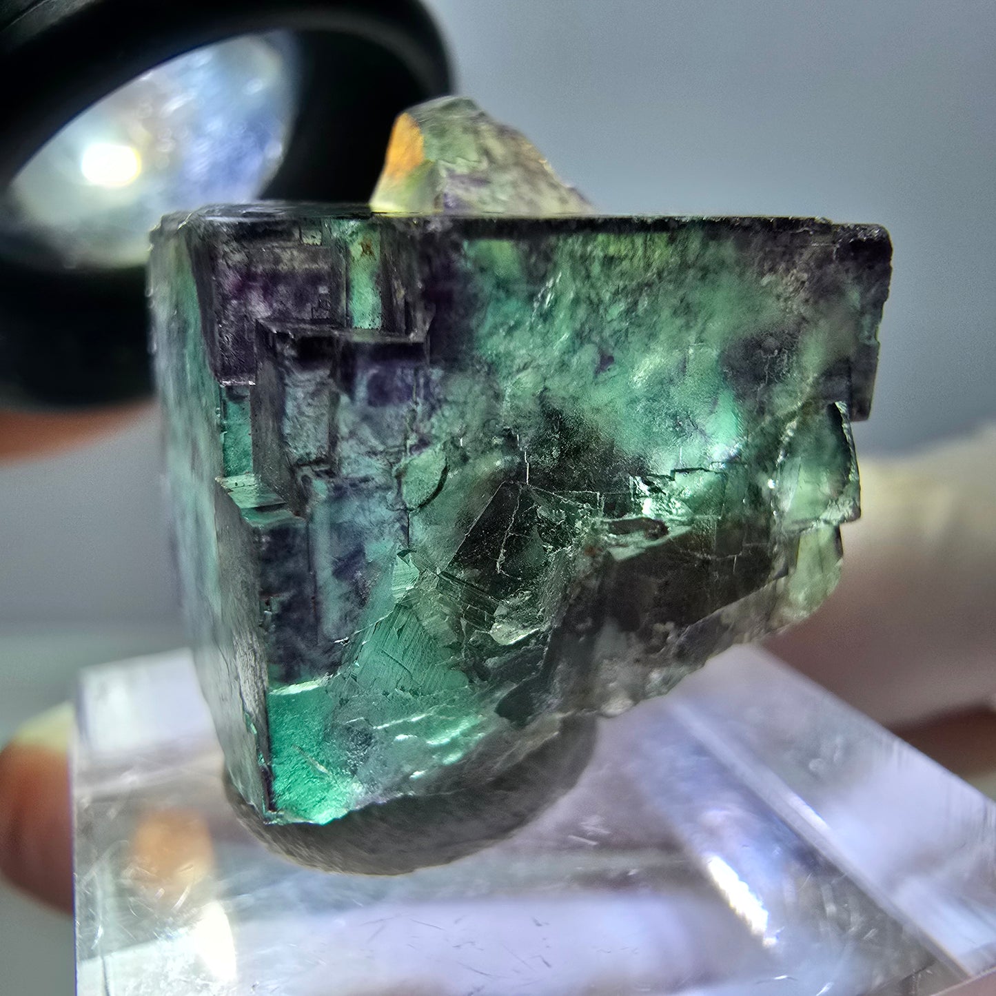 Phantom Fluorit Würfel Stufe, parkettiert, zonal Okorusu, Namibia 23*22*20mm