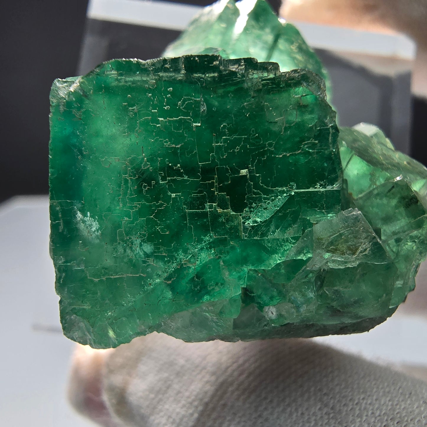 Klare Phantom Fluorit Würfel Stufe grün Okorusu, Namibia 40*36*20mm Sammlung