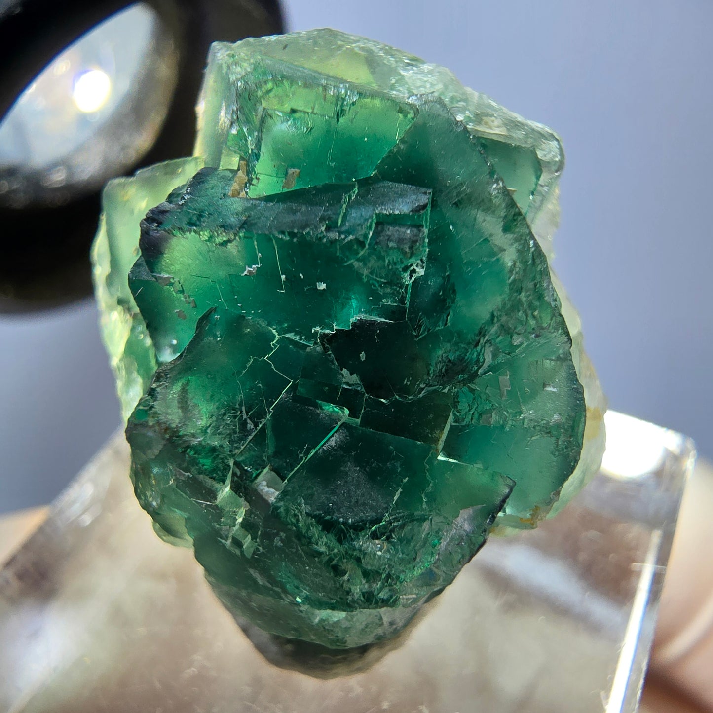 Seltene Phantom Fluorit Würfel Stufe, grün Okorusu, Namibia 22*21*13mm