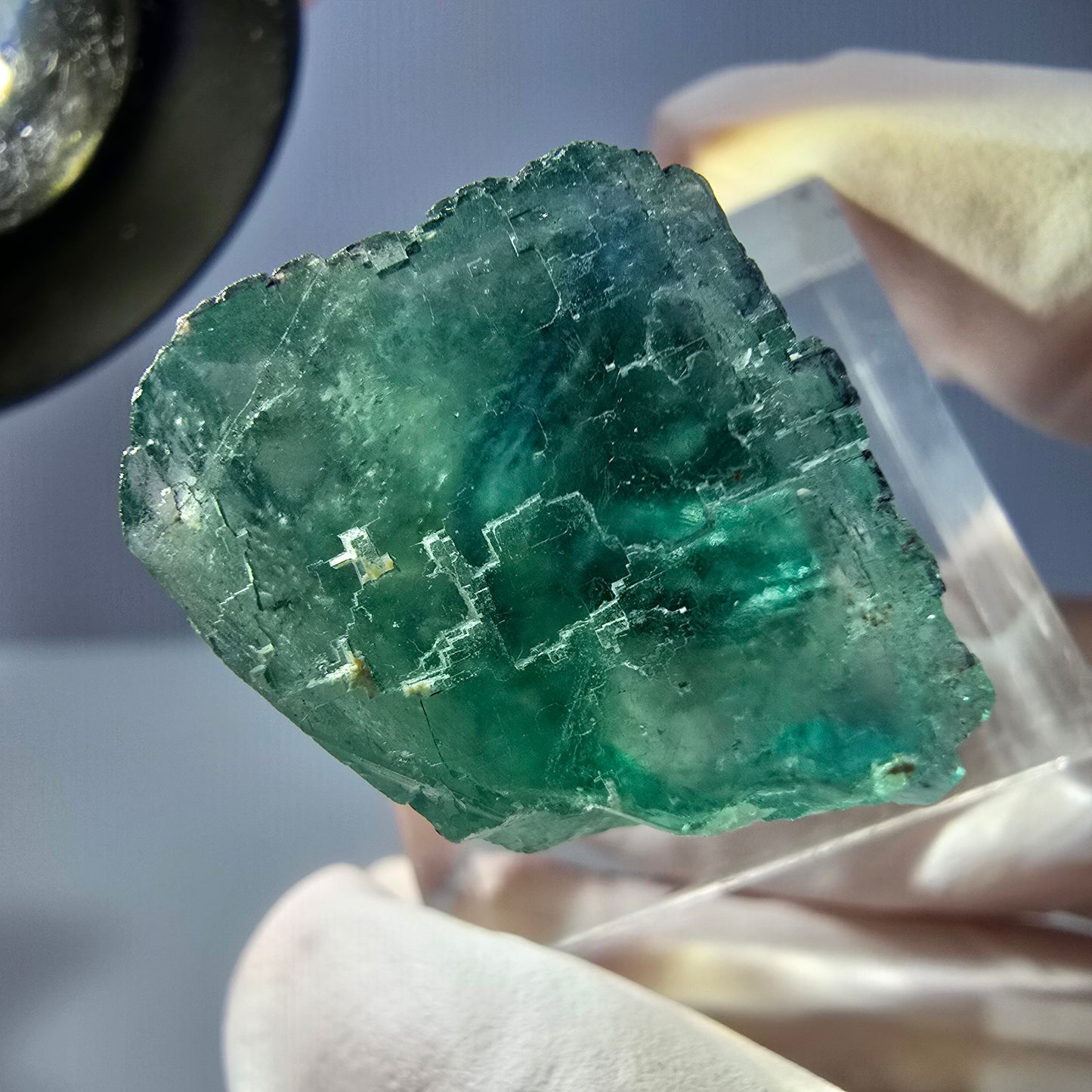 Cube de fluorite fantôme transparente parquetée, vert Okorusu, Namibie 22 x 20 x 18 mm
