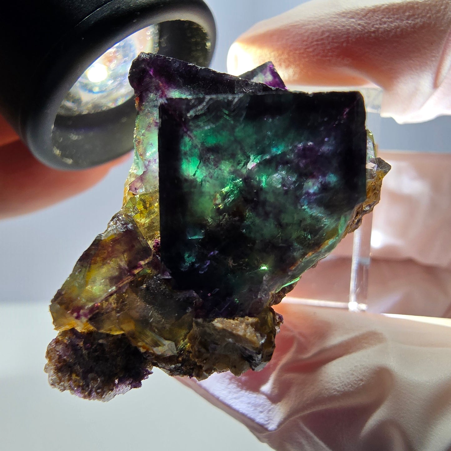 Phantom Fluorit Würfel Stufe, parkettiert grün lila Okorusu, Namibia 39*25*18mm