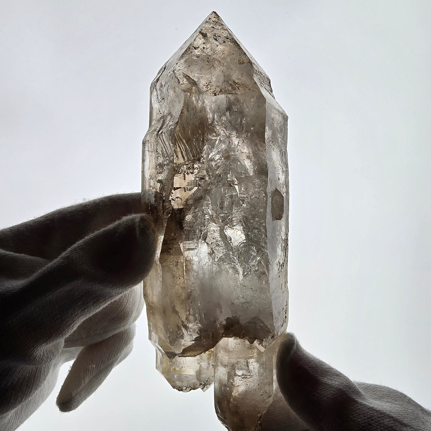 XL Skeleton Phantom Smoky Quartz DT Sceptre Valentine Pocket, Namibie 183*56*44mm