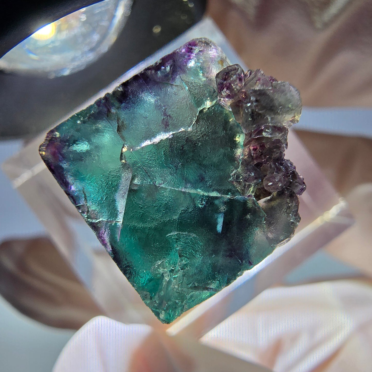 Rare cube de fluorite fantôme parqueté vert violet Okorusu Namibie 20*15*13mm