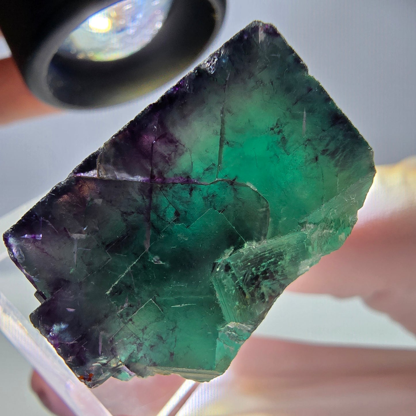 Rare cube de fluorite fantôme parqueté vert violet Okorusu Namibie 27*26*18mm