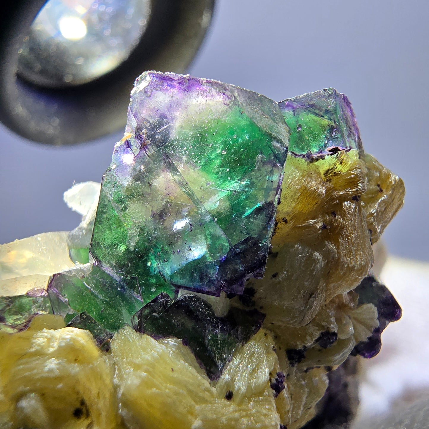 Grande fluorite fantôme, tourmaline schol, hyalite, muscovite, quartz fumé, Erongo, Namibie, 93 x 74 x 24 mm