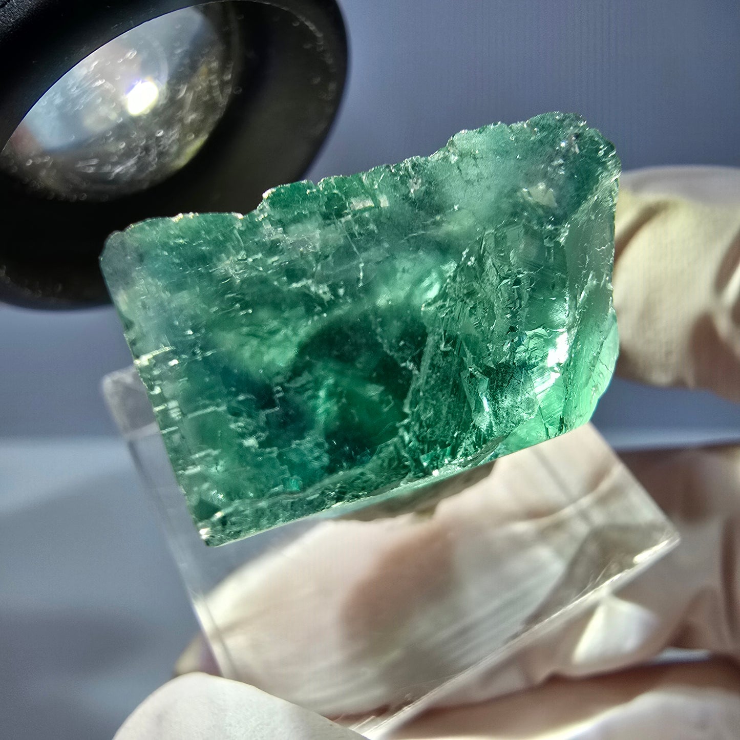 Cube de fluorite fantôme transparente parquetée, vert Okorusu, Namibie 22 x 22 x 17 mm