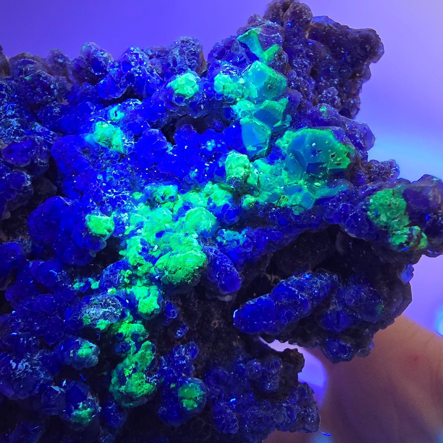 Fluorite fantôme XL, muscovite, hyalite, quartz fumé, tourmaline Schörl, Erongo, Namibie, 100 x 97 x 69 mm