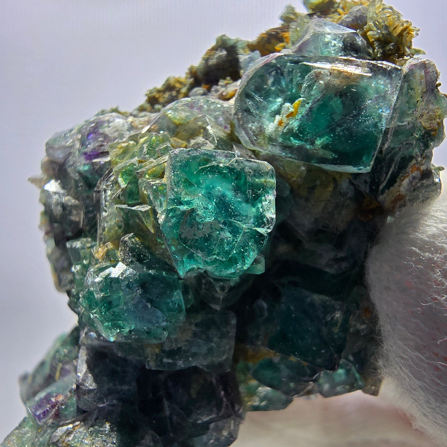 Cube de fluorite fantôme zonal, spécimen de tourmaline Schorl, Erongo, Namibie, 66 x 49 x 33 mm