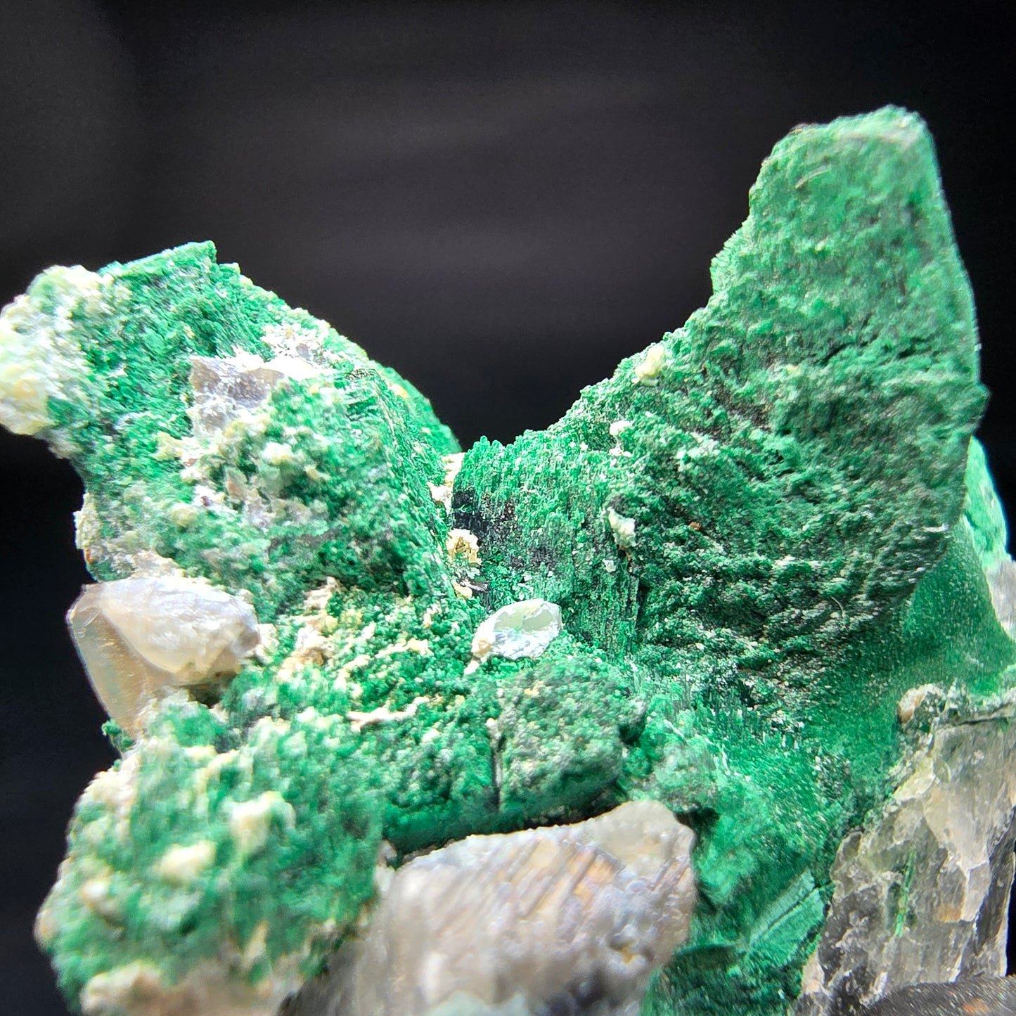 Seltene Malachit, Quarz Stufe Kaokoveld, Namibia 46*30*26mm Mineraliensammlung