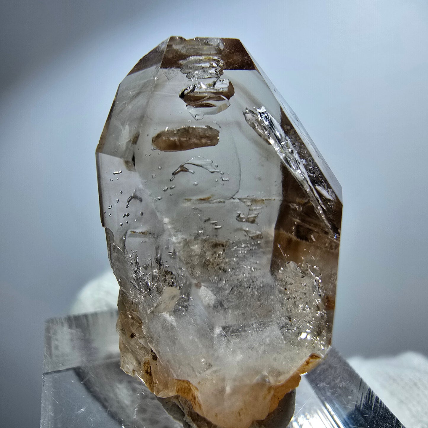 Pointe de sceptre en quartz fumé fantôme transparent, Goboboseb, Namibie, 30 x 19 x 16 mm