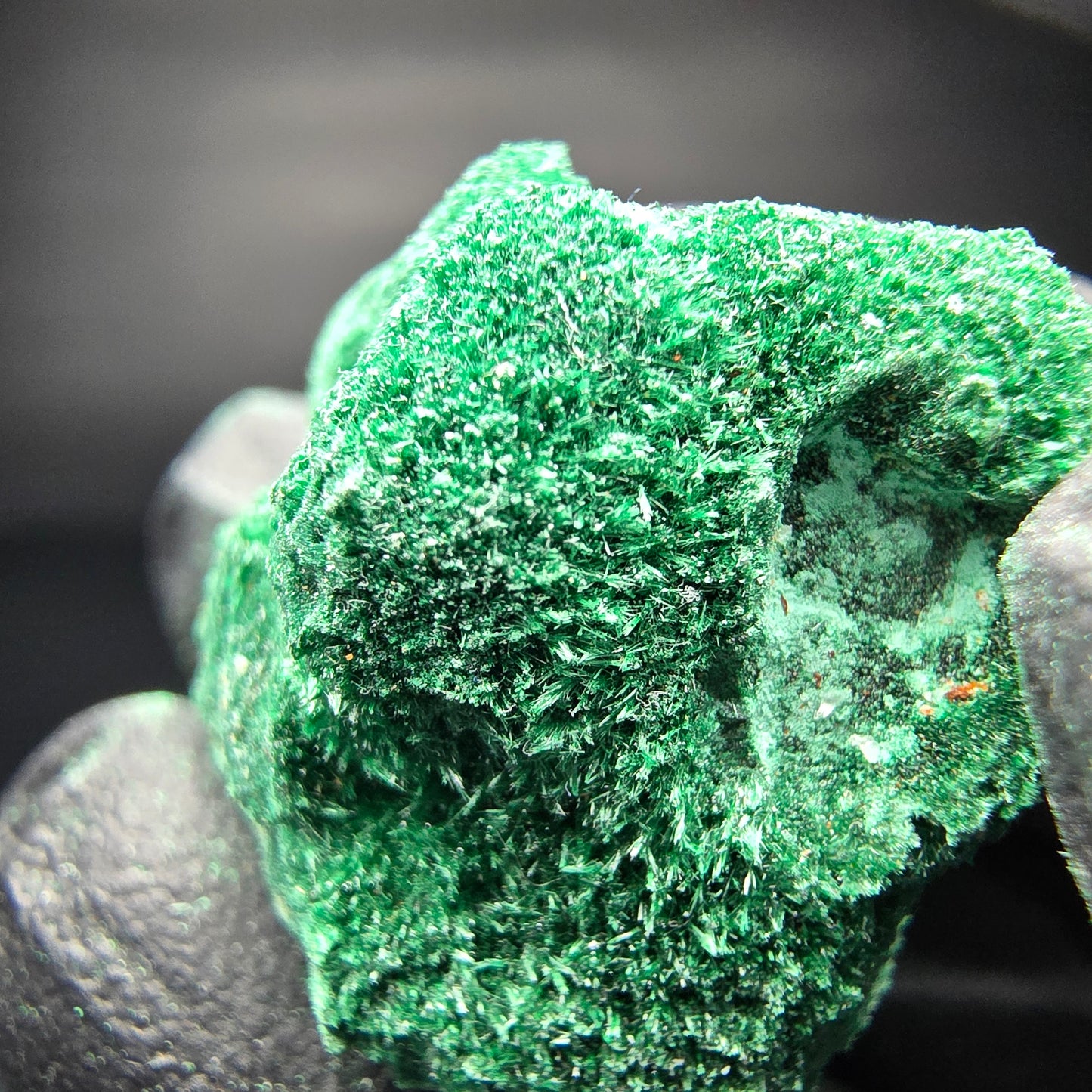Spécimen rare de malachite, Kaokoveld vert, collection minérale namibie 24*22*16mm