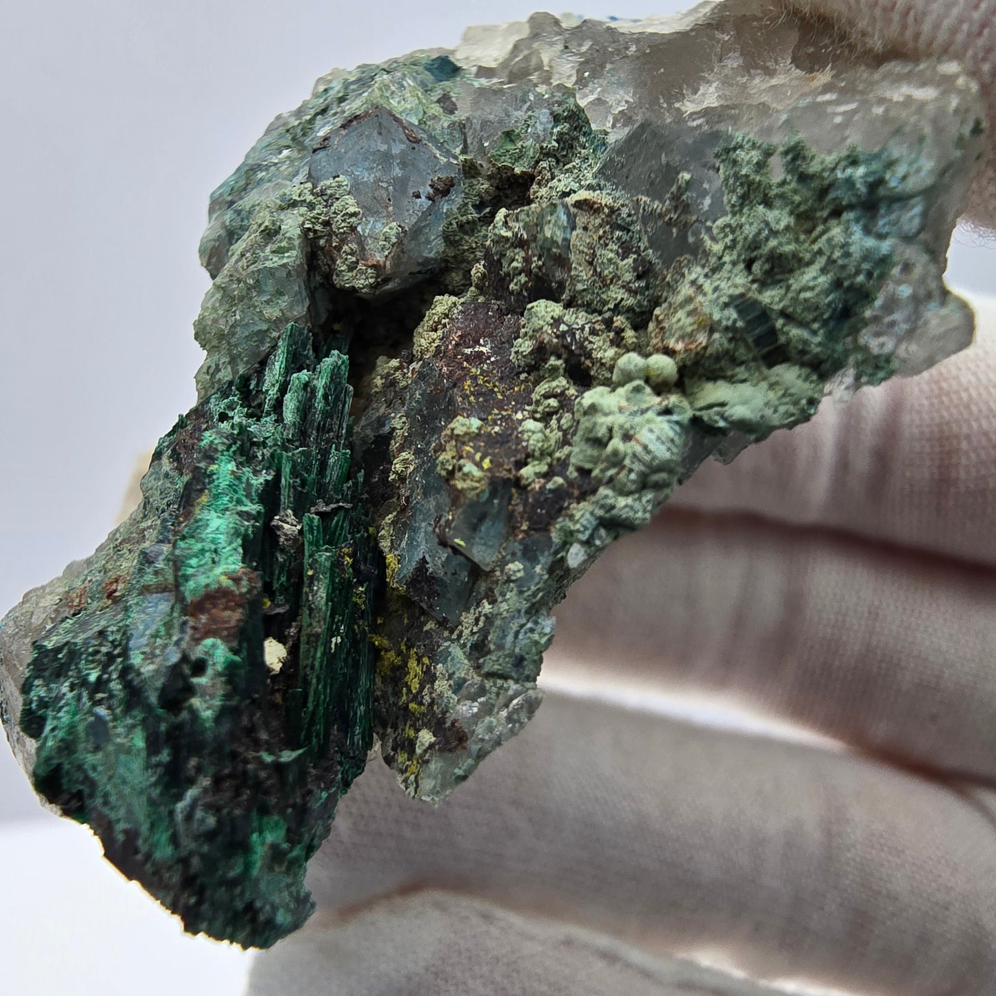 Spécimen rare de malachite, chrysocolle sur quartz Kaokoveld, Namibie 56*45*18mm