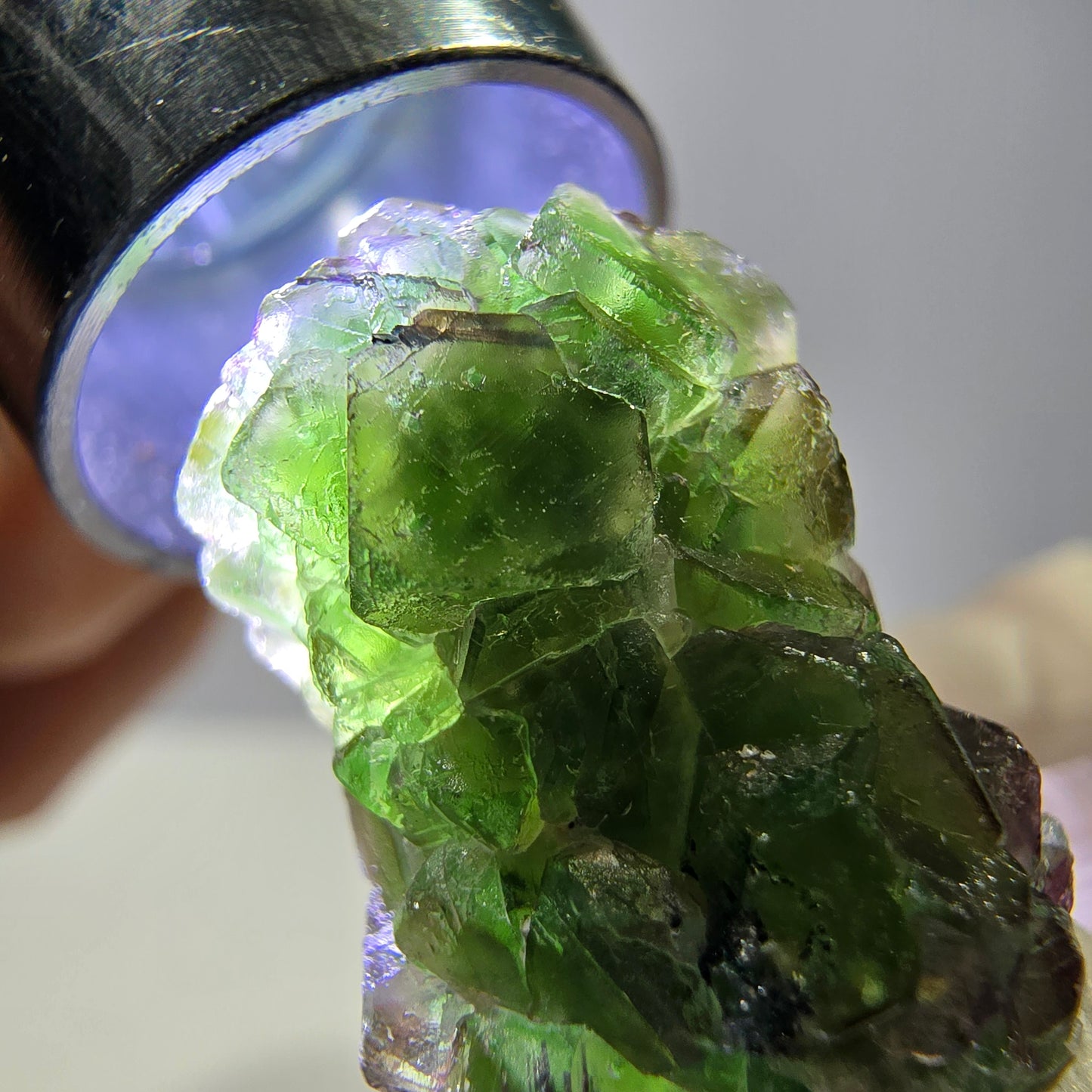 Cube de fluorite fantôme, zonal, spécimen de tourmaline Schorl, Erongo, Namibie, 23 x 15 x 14 mm