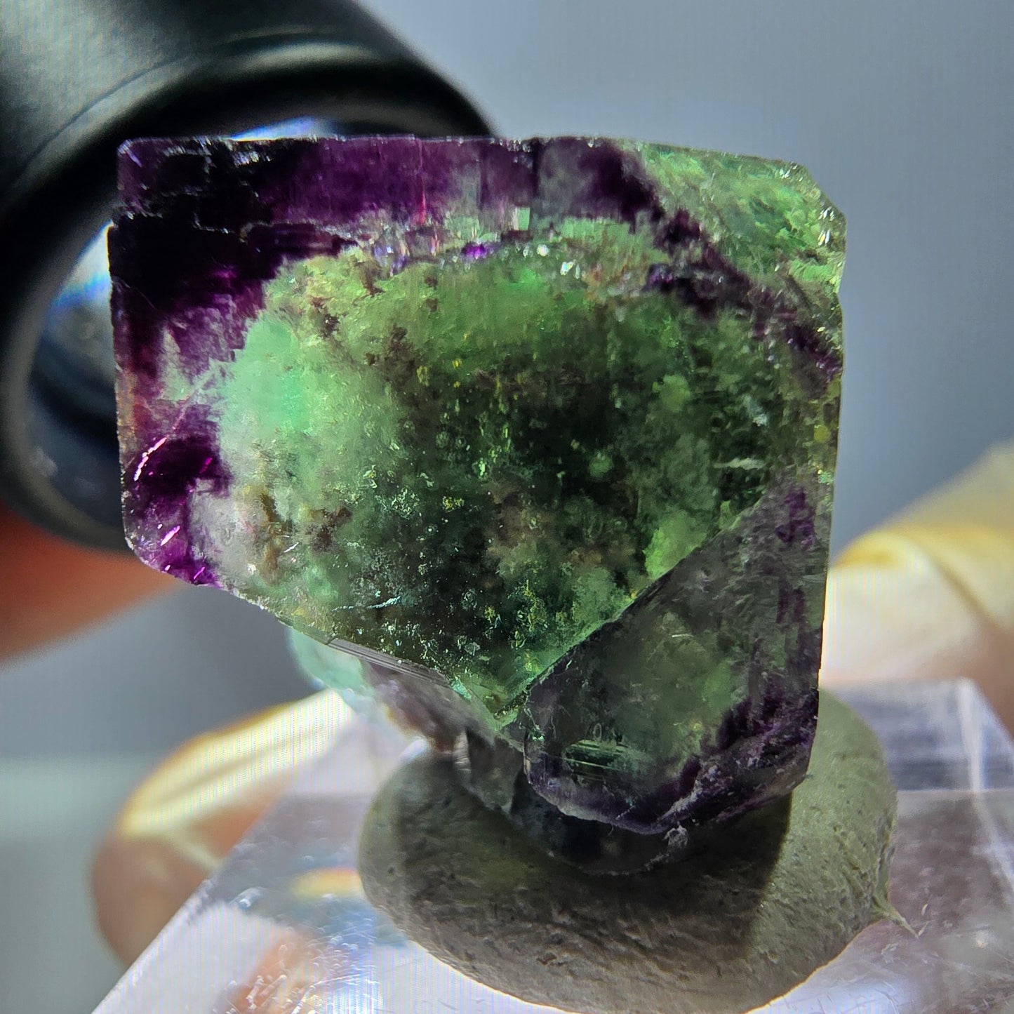 Phantom Fluorit Würfel parkettiert, zonal, grün lila Okorusu, Namibia 21*20*18mm