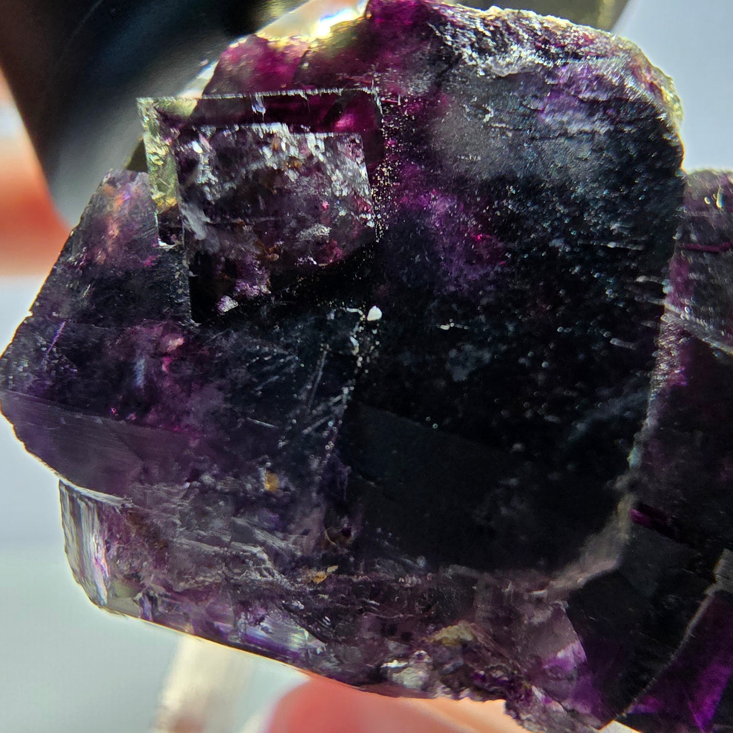 Spécimen de cube de fluorite fantôme, parqueté vert violet Okorusu, Namibie 30*24*21 mm