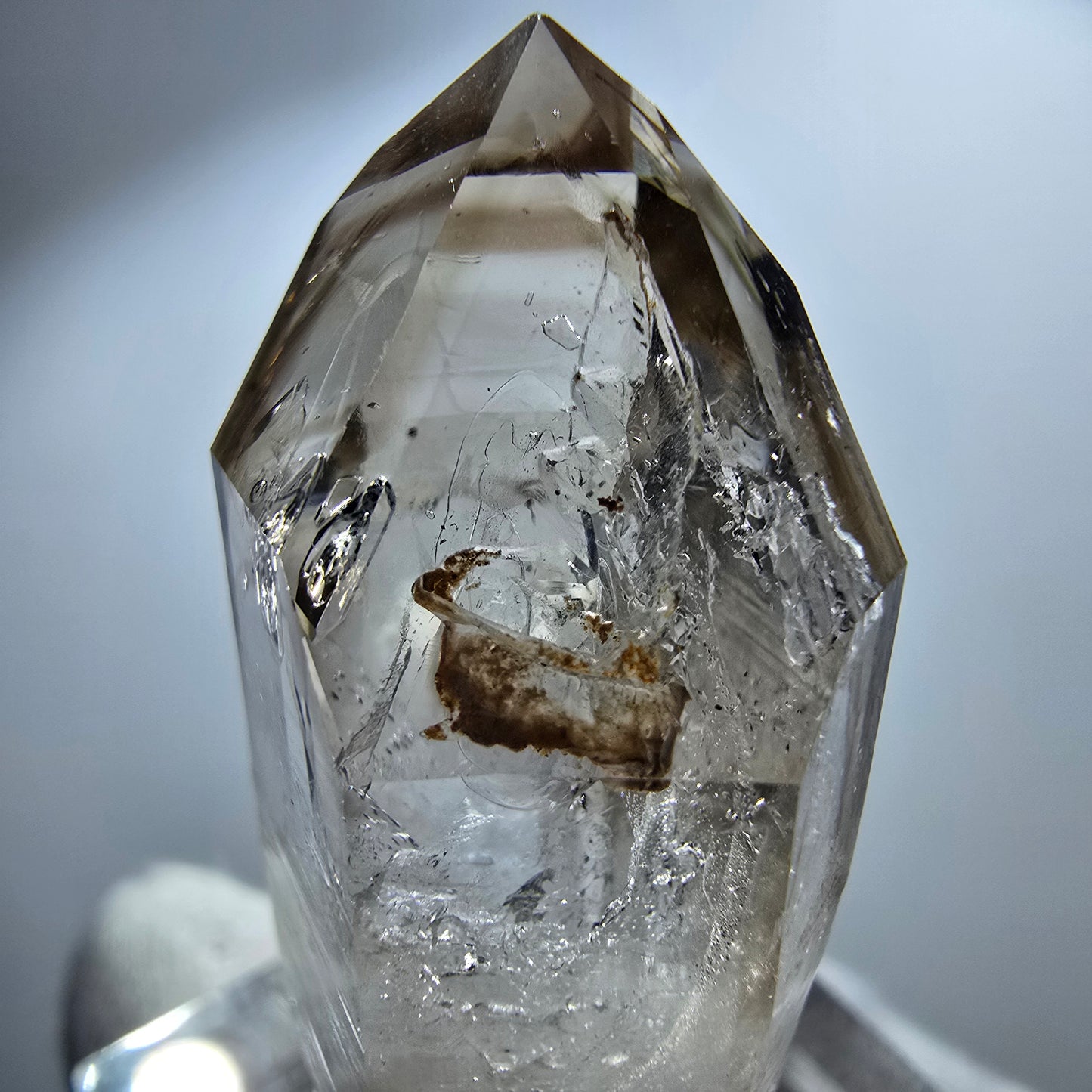 Pointe de sceptre en quartz fumé fantôme lémurien, Goboboseb, Namibie, 41 x 18 x 13 mm