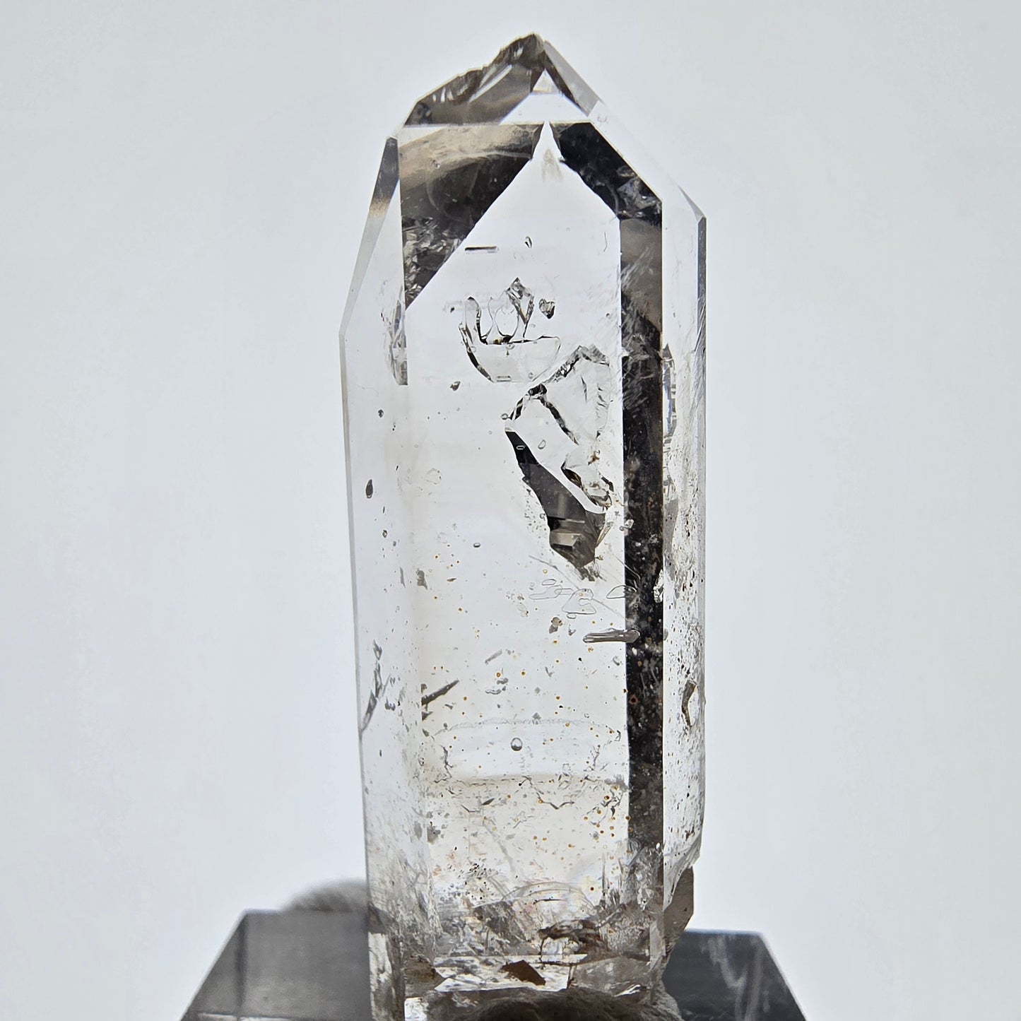 Sceptre squelette en quartz fumé Enhydro, 2 pochettes à bulles Saint-Valentin, Namibie 41 x 14 x 9 mm