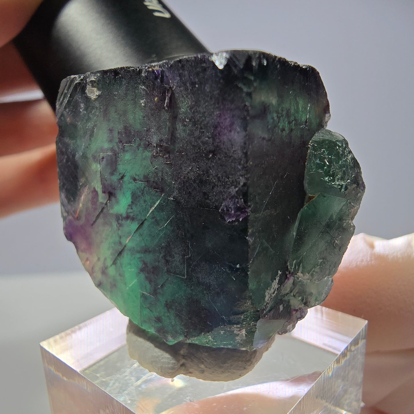 Rare cube de fluorite fantôme parqueté vert violet Okorusu Namibie 31*30*30mm
