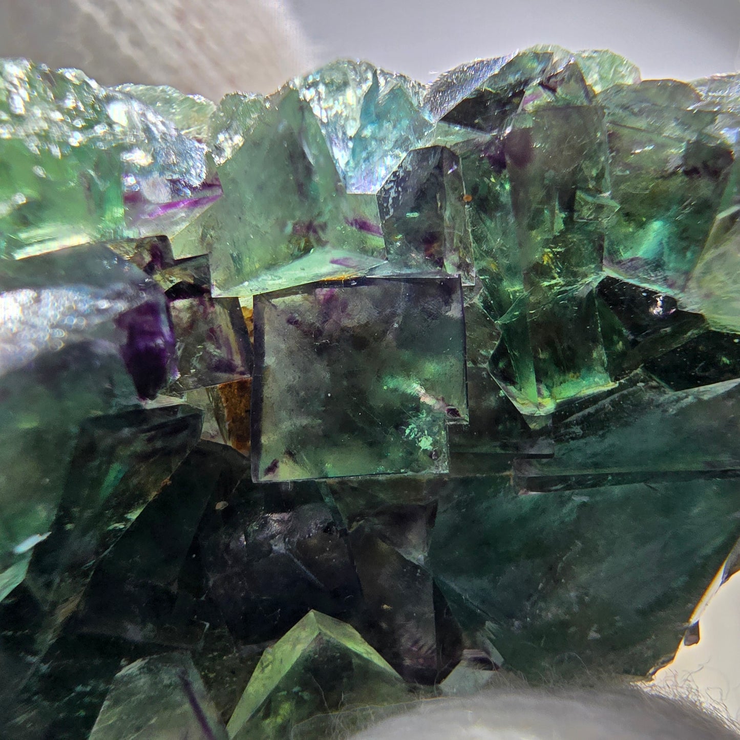 Spécimen rare de cube de fluorite fantôme, vert zonal et violet, Okorusu, Namibie, 54 x 23 x 12 mm