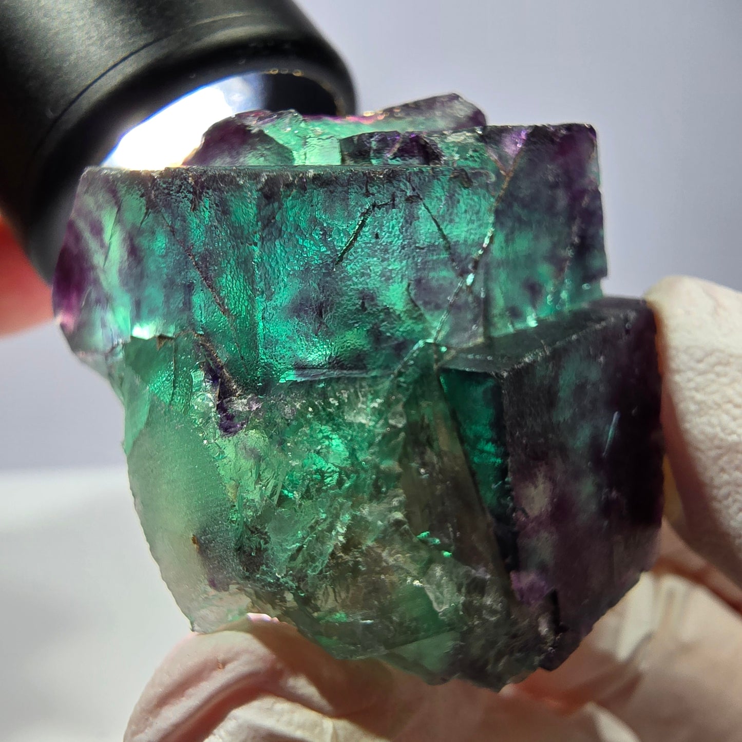 Spécimen de cube de fluorite fantôme, parqueté vert violet Okorusu, Namibie 39*33*22 mm