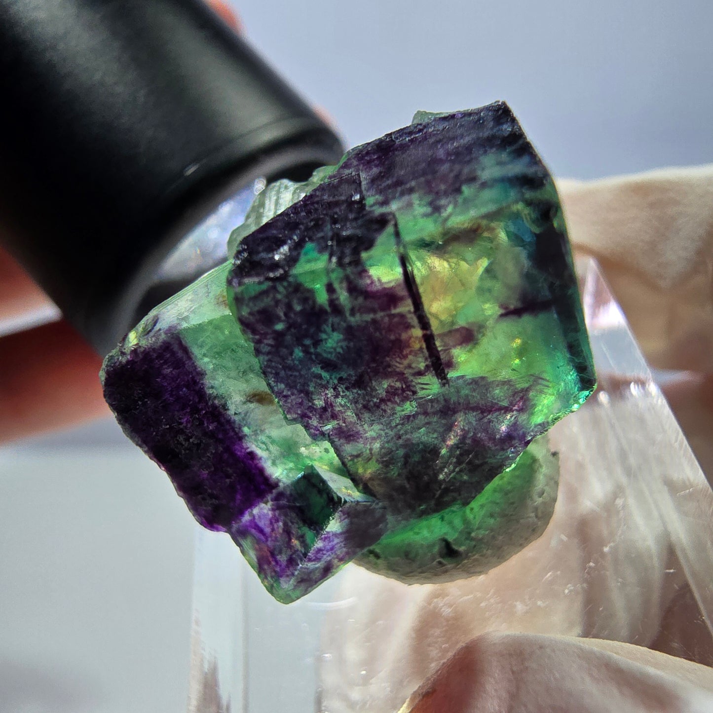 Phantom Fluorit Würfel Stufe grün lila zonal 11:11 Angel Pocket, Namibia 24*21*19mm