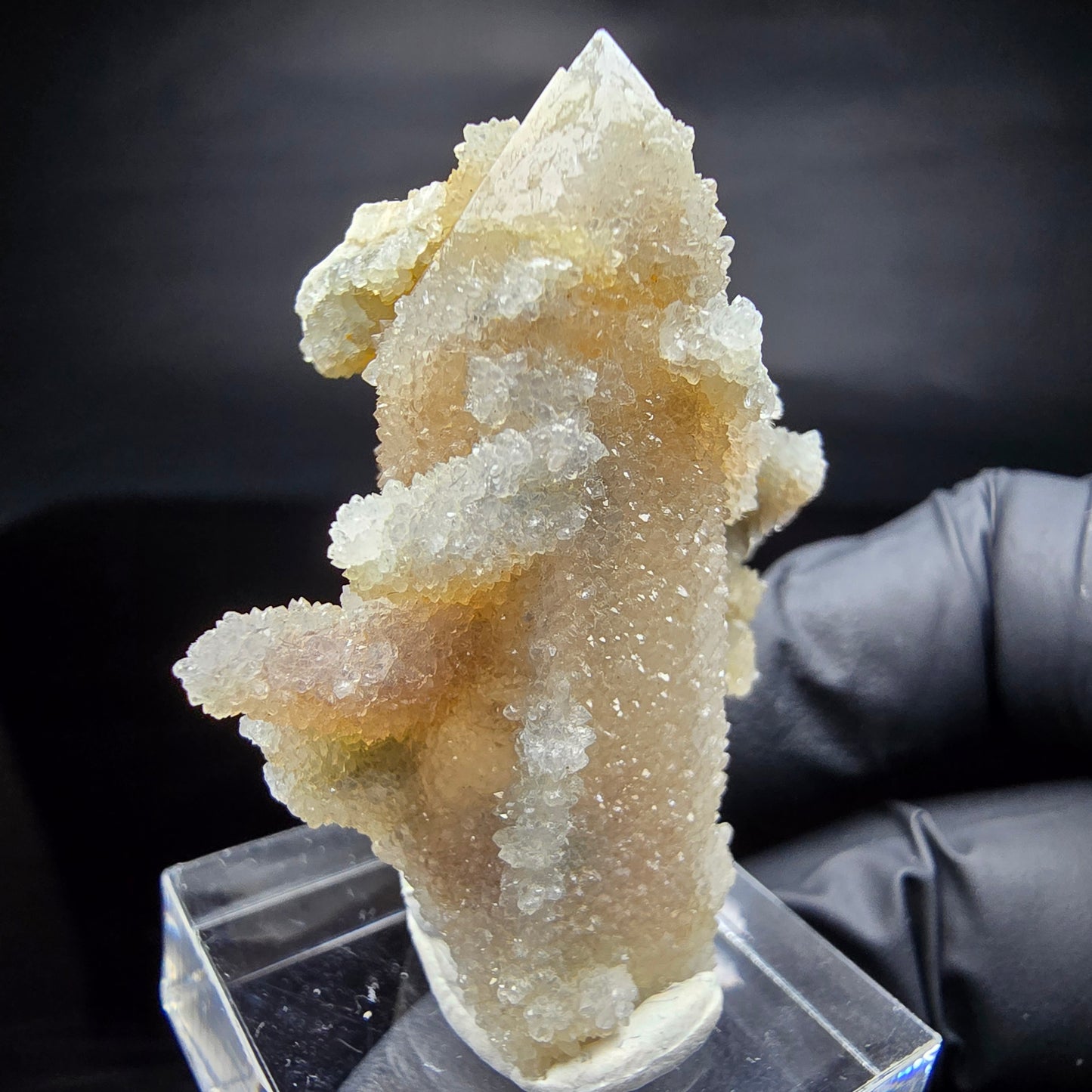 Kaktusquarz, Spirit Quarz XX Stufe Boekenhouthoek, Südafrika 45*37*26mm Sammlung